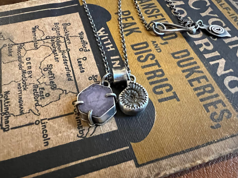 Raw Ruby, Pyritised Ammonite and Sterling Silver Necklace
