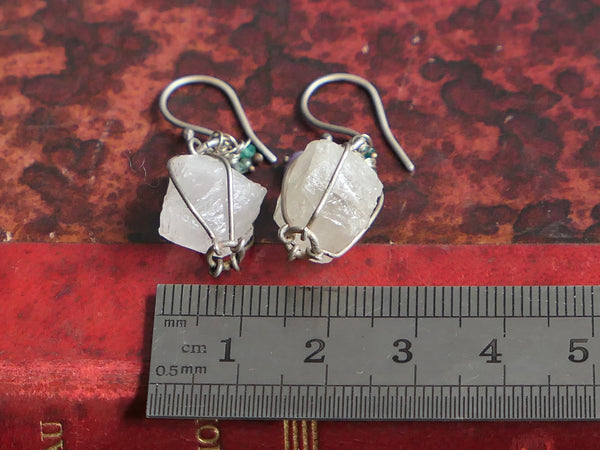 The Peaceful Protest Earrings