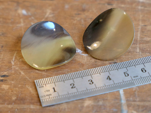 Brown Natural Horn Curved Stud Earrings