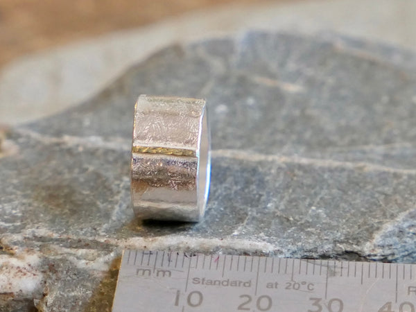 Monolith Ring with 18ct Gold Seam