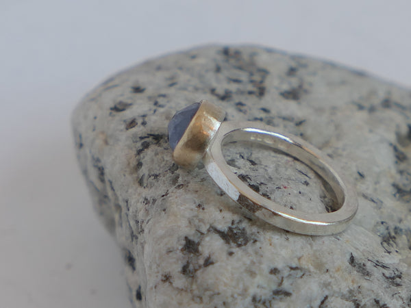 Silver Ring with Tanzanite set in Gold