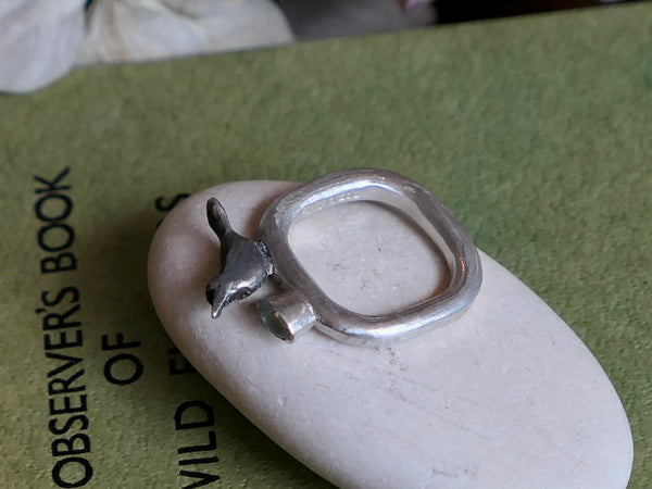 Bird Bath Ring
